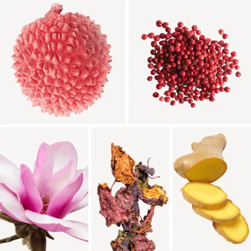 Duftnoten: Litschi, rosa Pfeffer, Magnolie, Patschuli, Ingwer